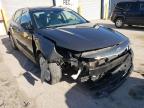 KIA - OPTIMA