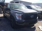 FORD - F150