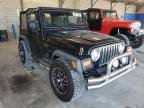 JEEP - WRANGLER