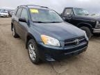 TOYOTA - RAV4