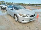HONDA - ACCORD