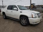 CADILLAC - ESCALADE