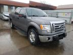 FORD - F-150