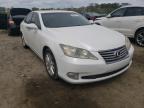 LEXUS - ES350