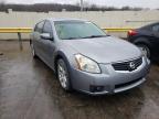 NISSAN - MAXIMA