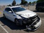 KIA - OPTIMA