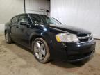 DODGE - AVENGER