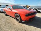 DODGE - CHALLENGER