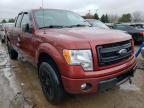FORD - F-150