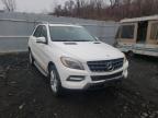 MERCEDES-BENZ - M-CLASS