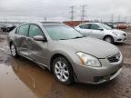 NISSAN - MAXIMA