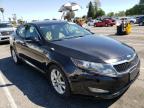 KIA - OPTIMA