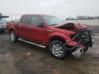 FORD - F-150