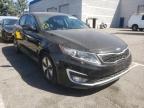 KIA - OPTIMA