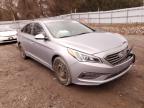 HYUNDAI - SONATA