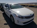 KIA - OPTIMA