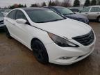 HYUNDAI - SONATA