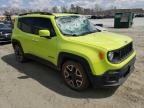 JEEP - RENEGADE