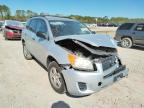TOYOTA - RAV4