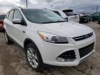 FORD - ESCAPE