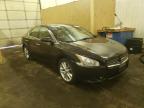 NISSAN - MAXIMA