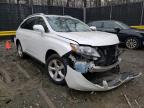 LEXUS - RX350