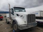 PETERBILT - 567