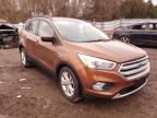 FORD - ESCAPE