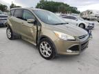 FORD - ESCAPE