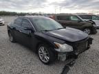 NISSAN - MAXIMA