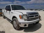 FORD - F-150