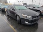 KIA - OPTIMA