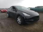 TESLA - MODEL Y