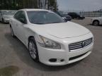 NISSAN - MAXIMA