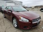 NISSAN - MAXIMA
