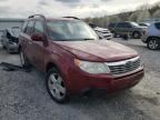 SUBARU - FORESTER