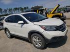 HONDA - CRV