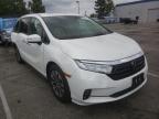 HONDA - ODYSSEY