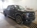 FORD - F-150