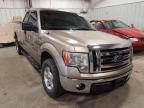 FORD - F-150