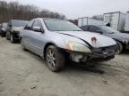 HONDA - ACCORD