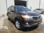 KIA - SORENTO