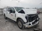 FORD - F250