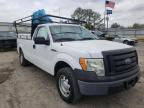 FORD - F150