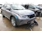 LEXUS - RX350