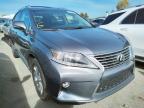 LEXUS - RX350