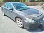 NISSAN - MAXIMA