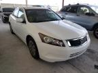 HONDA - ACCORD