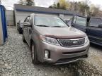 KIA - SORENTO