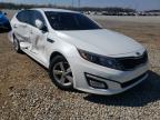 KIA - OPTIMA